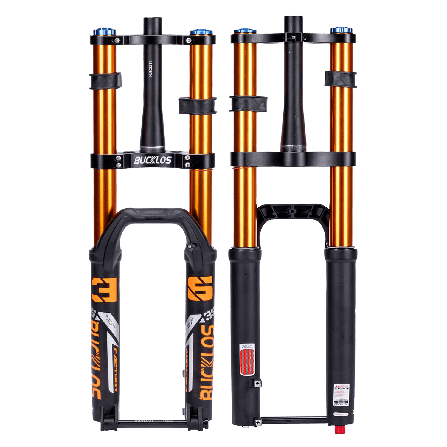 Fork 2024 dual crown