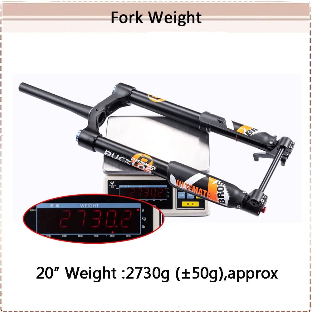 Air Inverted Fork Weight