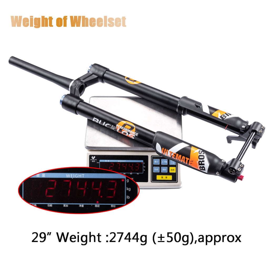 Air Inverted Fork Weight